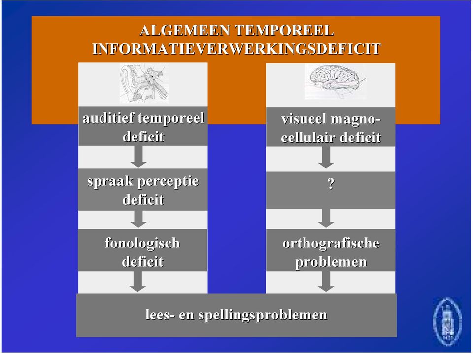 fonologisch deficit visueel magno- cellulair