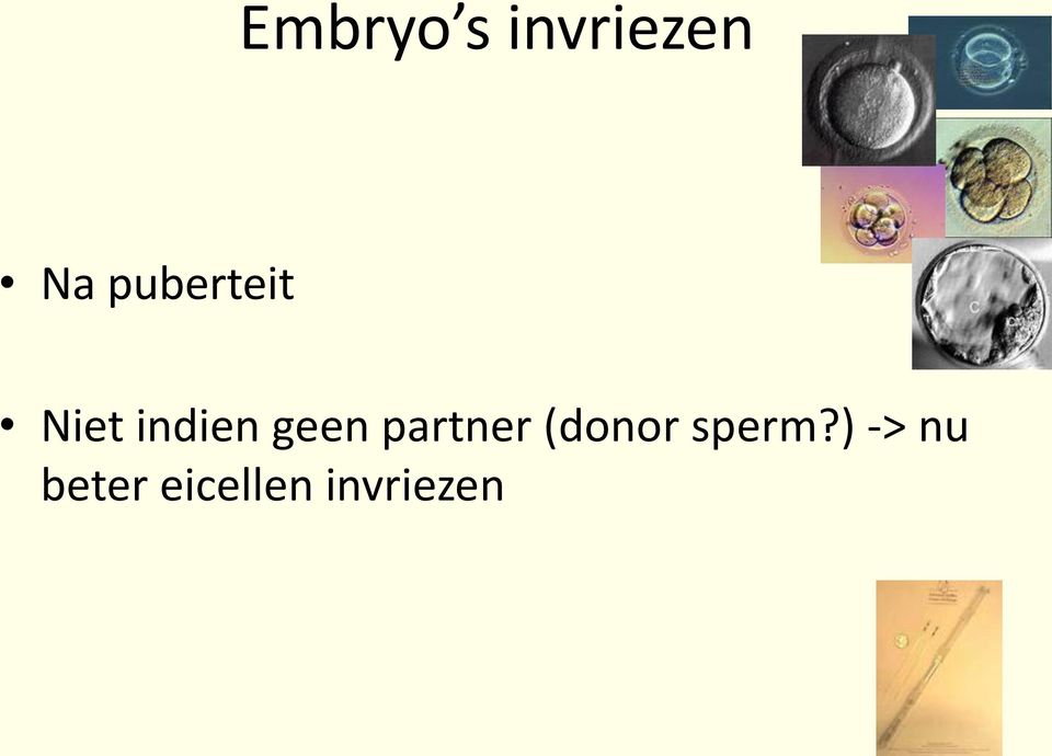 geen partner (donor sperm?