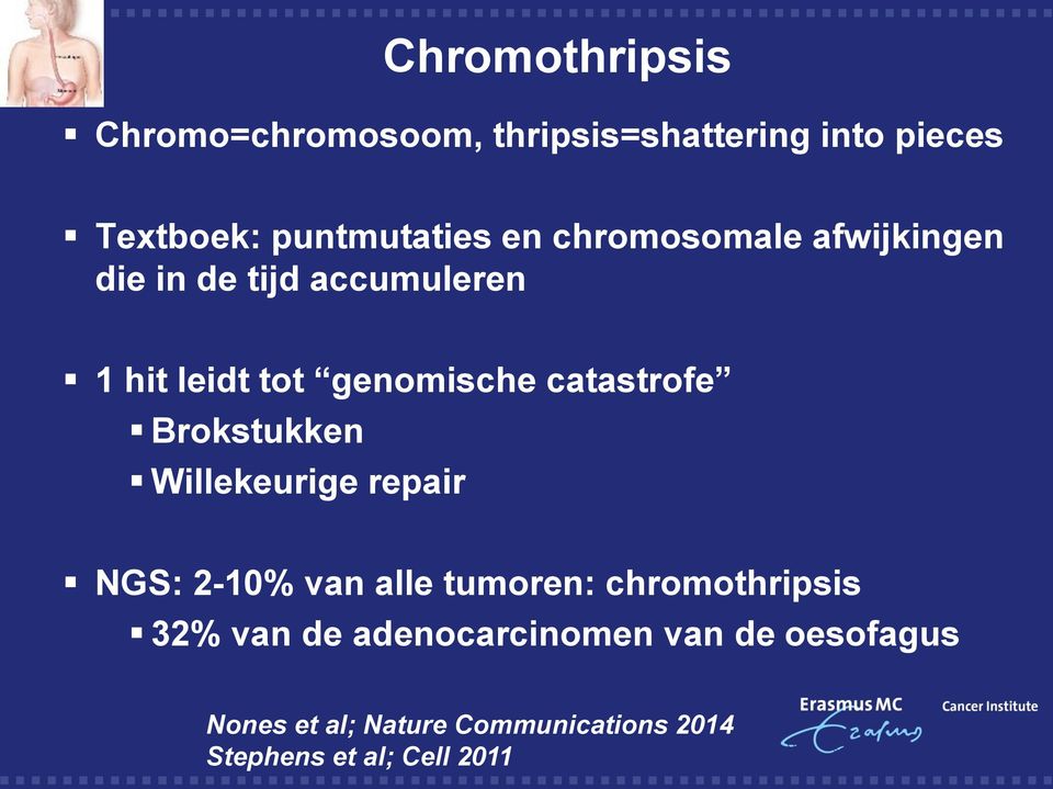 Brokstukken Willekeurige repair NGS: 2-10% van alle tumoren: chromothripsis 32% van de