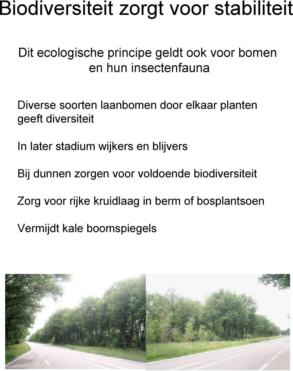 diversiteit In later stadium wijkers en blijvers Bij dunnen zorgen voor voldoende