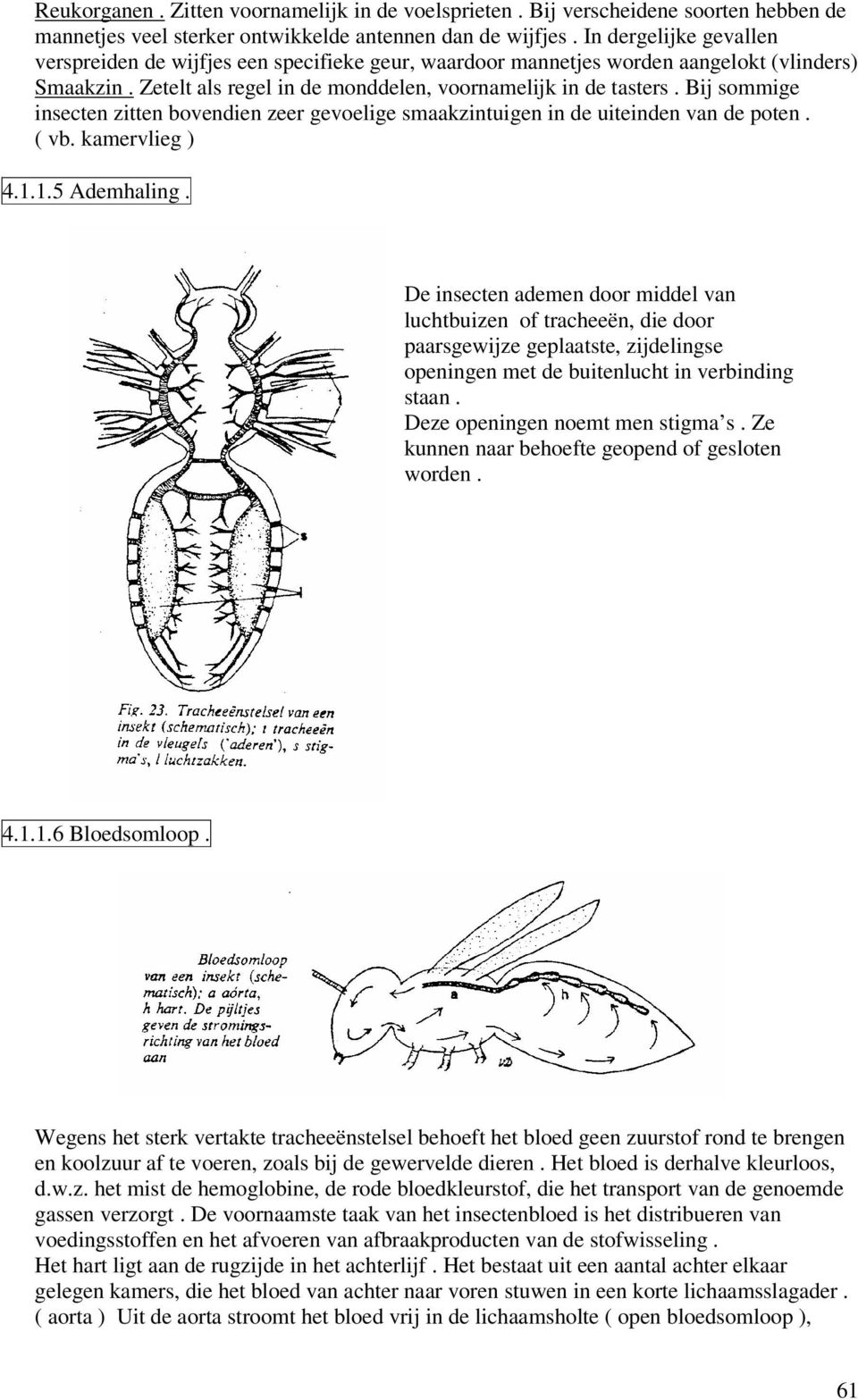 Bij sommige insecten zitten bovendien zeer gevoelige smaakzintuigen in de uiteinden van de poten. ( vb. kamervlieg ) 4.1.1.5 Ademhaling.