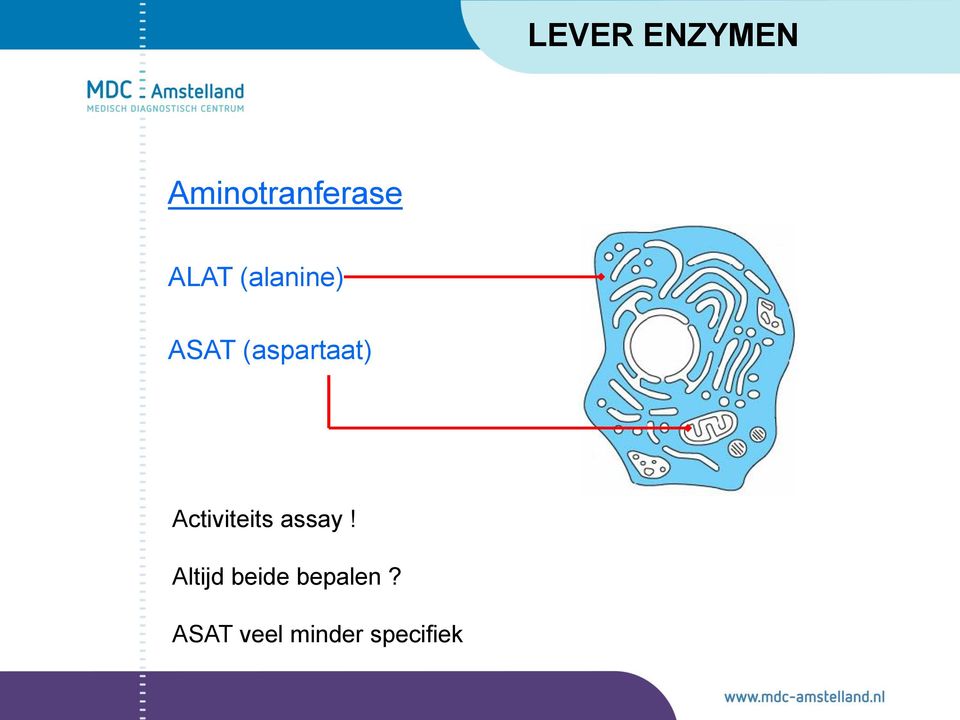 Activiteits assay!