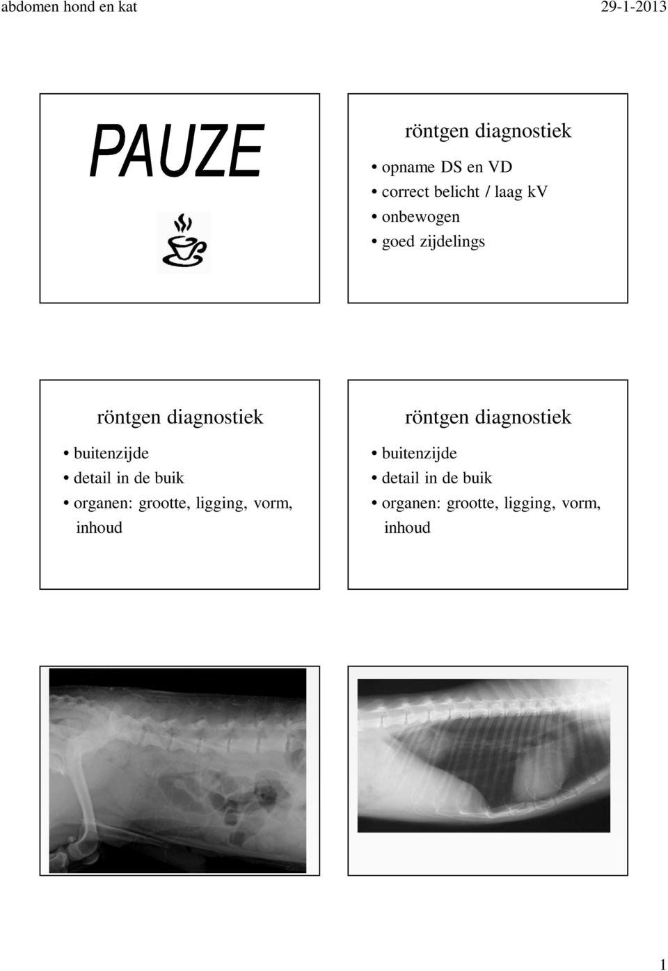 de buik organen: grootte, ligging, vorm, inhoud röntgen diagnostiek