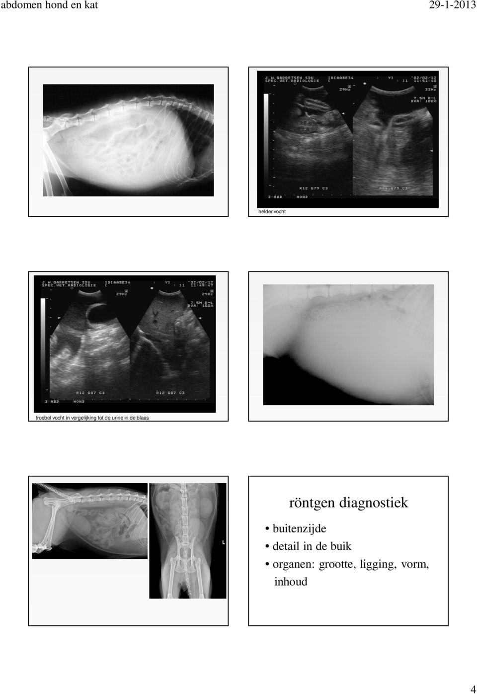 röntgen diagnostiek buitenzijde detail