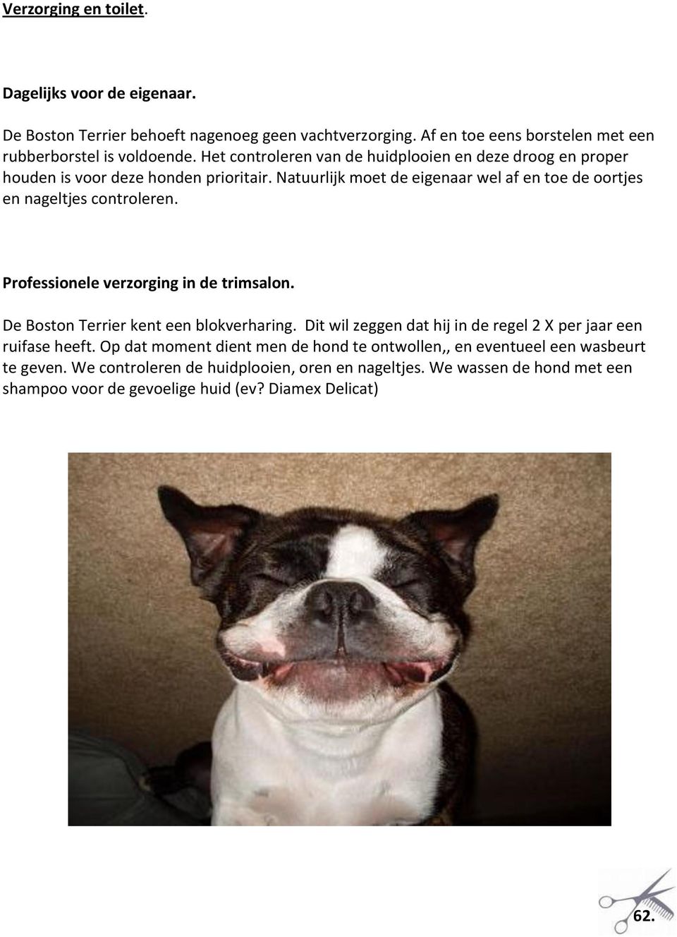 Professionele verzorging in de trimsalon. De Boston Terrier kent een blokverharing. Dit wil zeggen dat hij in de regel 2 X per jaar een ruifase heeft.