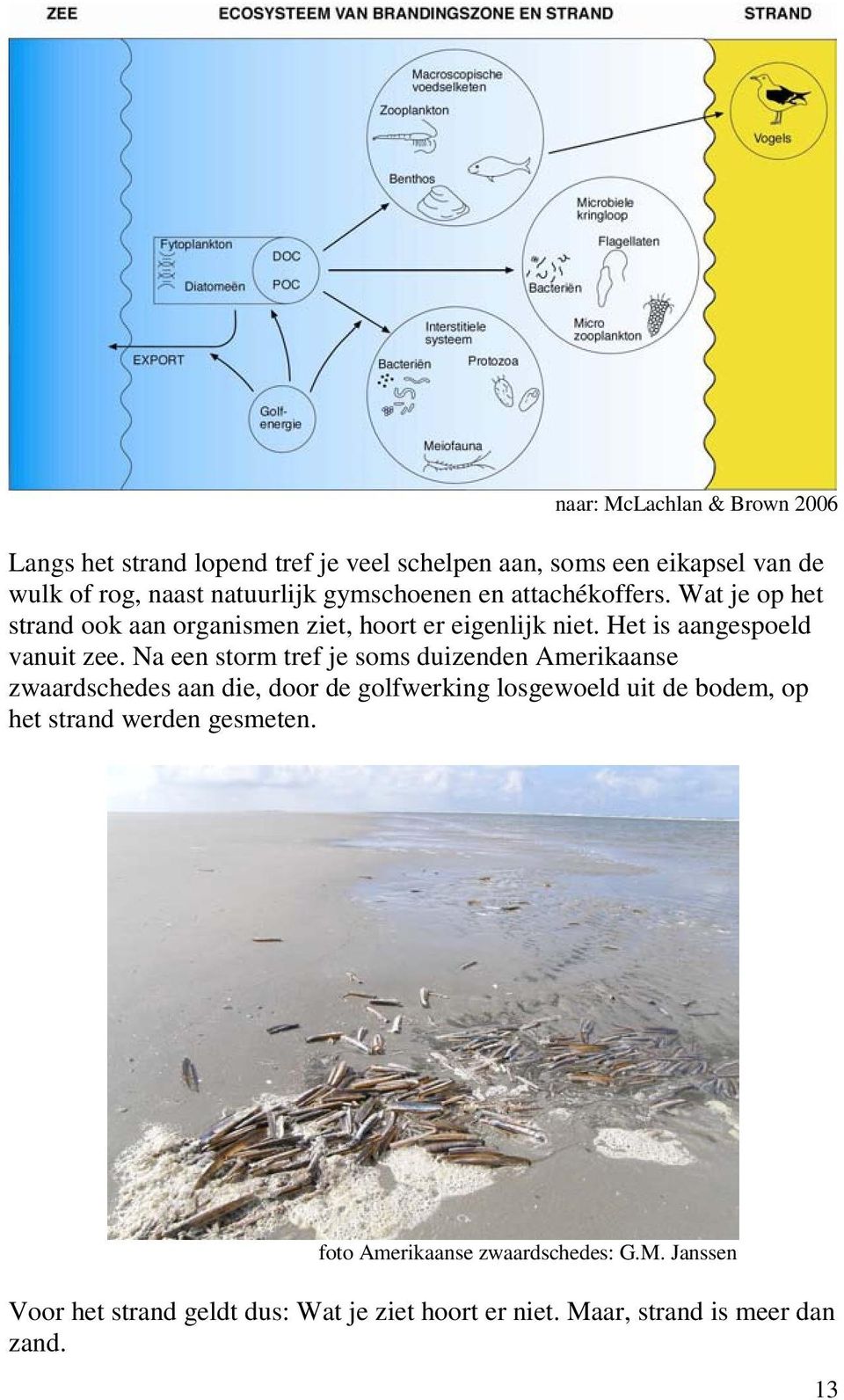 De vertaling is eigenlijk trage of slome loper, ondanks z n acht pootjes. Merkwaardige beestjes met uitzonderlijke capaciteiten. Je kunt ze koken, uitdrogen, invriezen of in pure alcohol gooien.