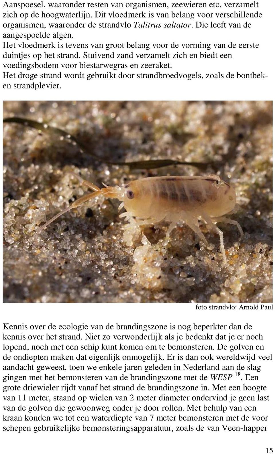 aantal soorten macrobenthos in relatie tot diepte en afstand tot de laagwaterlijn: Janssen & Mulder 2005 De sterkste toename zagen we vanaf de buitenste brekerbank zeewaarts.