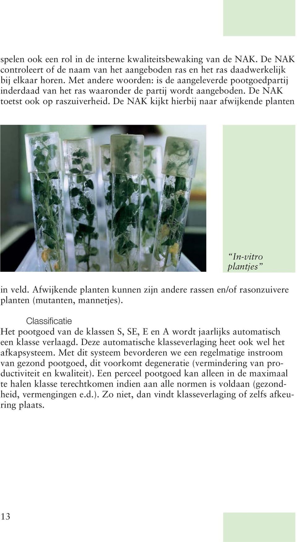 De NAK kijkt hierbij naar afwijkende planten In-vitro plantjes in veld. Afwijkende planten kunnen zijn andere rassen en/of rasonzuivere planten (mutanten, mannetjes).