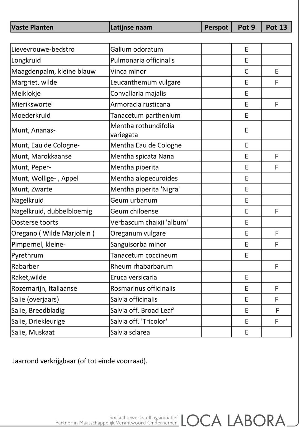 Munt, Marokkaanse Mentha spicata Nana E F Munt, Peper Mentha piperita E F Munt, Wollige, ppel Mentha alopecuroides E Munt, Zwarte Mentha piperita 'Nigra' E Nagelkruid Geum urbanum E Nagelkruid,