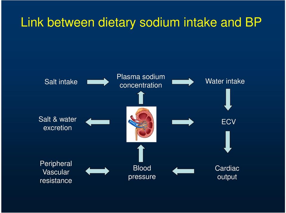intake Salt & water excretion ECV Peripheral