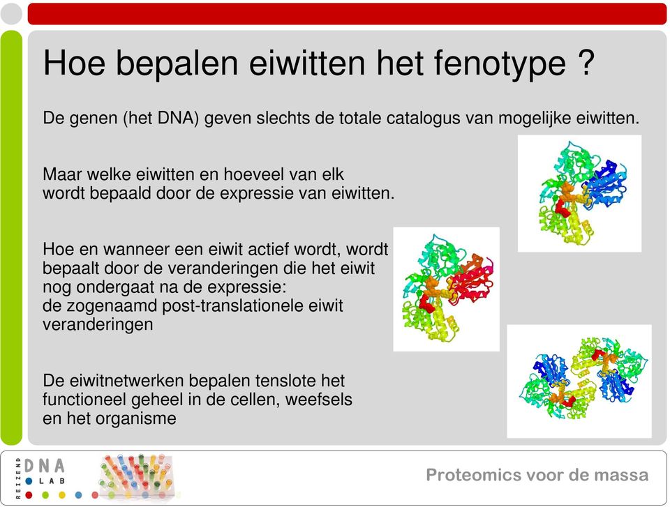 Hoe en wanneer een eiwit actief wordt, wordt bepaalt door de veranderingen die het eiwit nog ondergaat na de