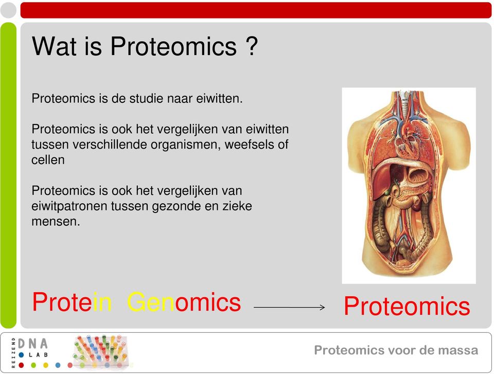 verschillende organismen, weefsels of cellen Proteomics is ook het