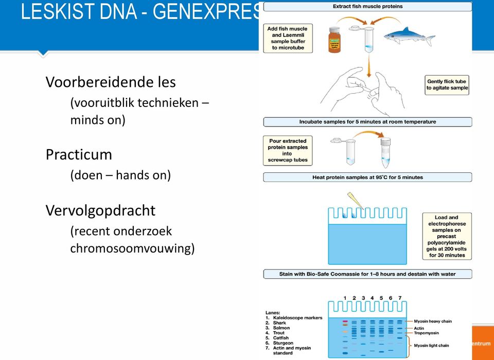 technieken minds on) Practicum (doen