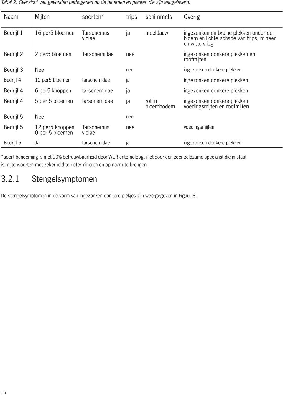 Bedrijf 2 2 per5 bloemen Tarsonemidae nee ingezonken donkere plekken en roofmijten Bedrijf 3 Nee nee ingezonken donkere plekken Bedrijf 4 12 per5 bloemen tarsonemidae ja ingezonken donkere plekken