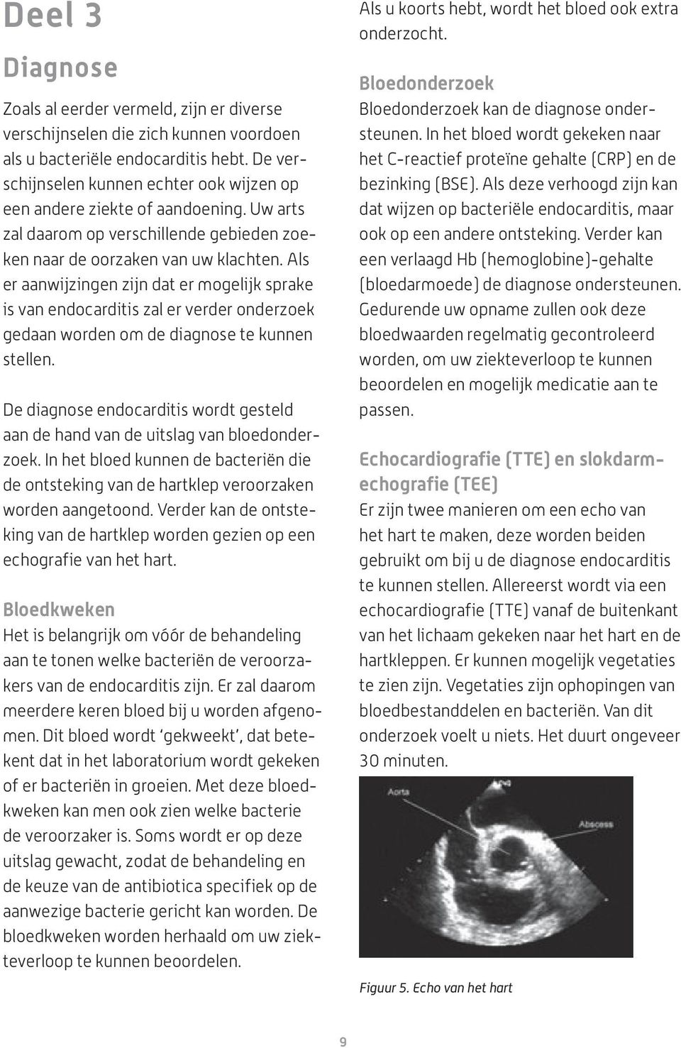 Als er aanwijzingen zijn dat er mogelijk sprake is van endocarditis zal er verder onderzoek gedaan worden om de diagnose te kunnen stellen.