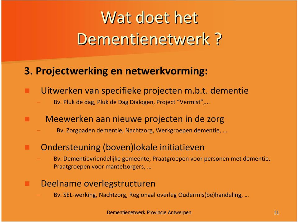 Zorgpaden dementie, Nachtzorg, Werkgroepen dementie, Ondersteuning (boven)lokale initiatieven Bv.