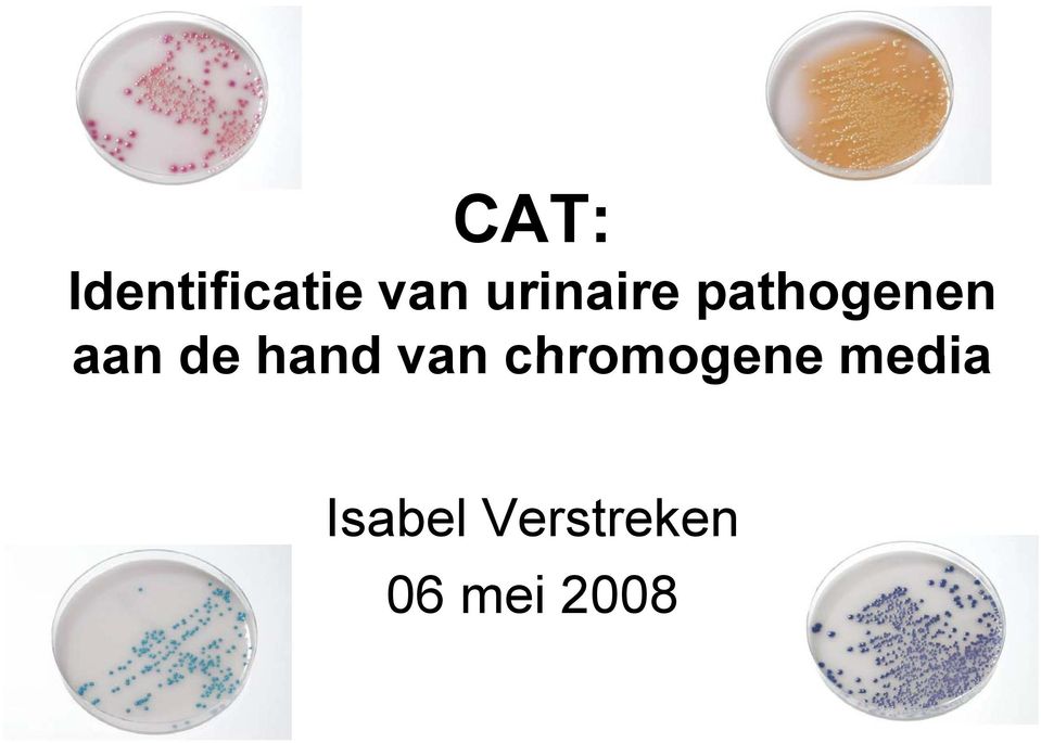 hand van chromogene media