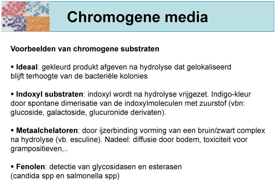 Indigo-kleur door spontane dimerisatie van de indoxylmoleculen met zuurstof (vbn: glucoside, galactoside, glucuronide derivaten).