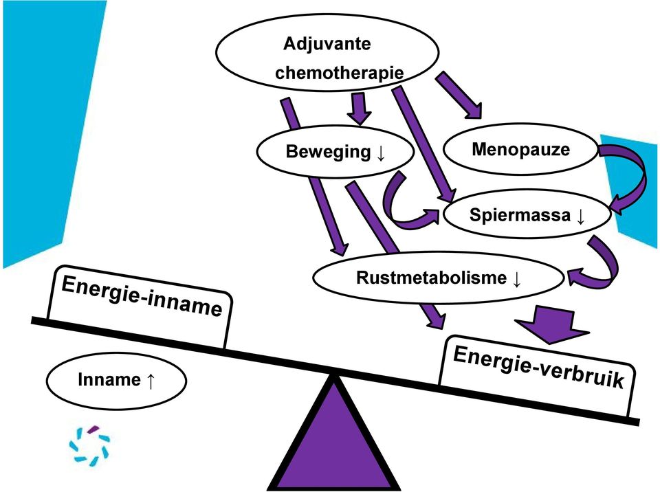 Spiermassa Energie-inname