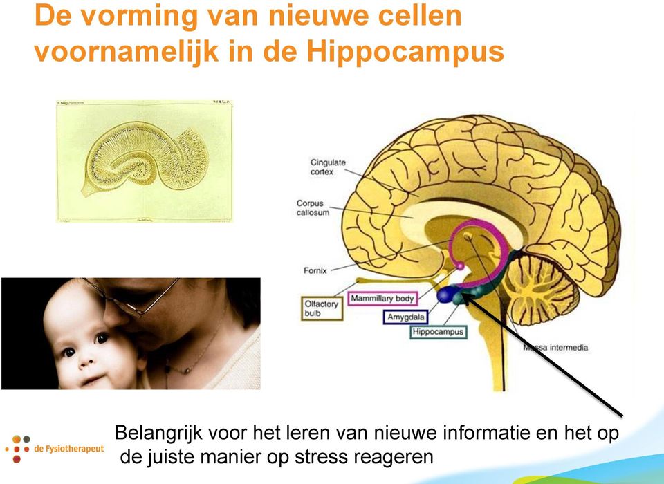 Belangrijk voor het leren van nieuwe