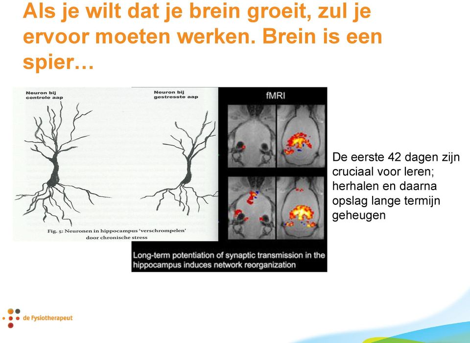 Brein is een spier De eerste 42 dagen zijn