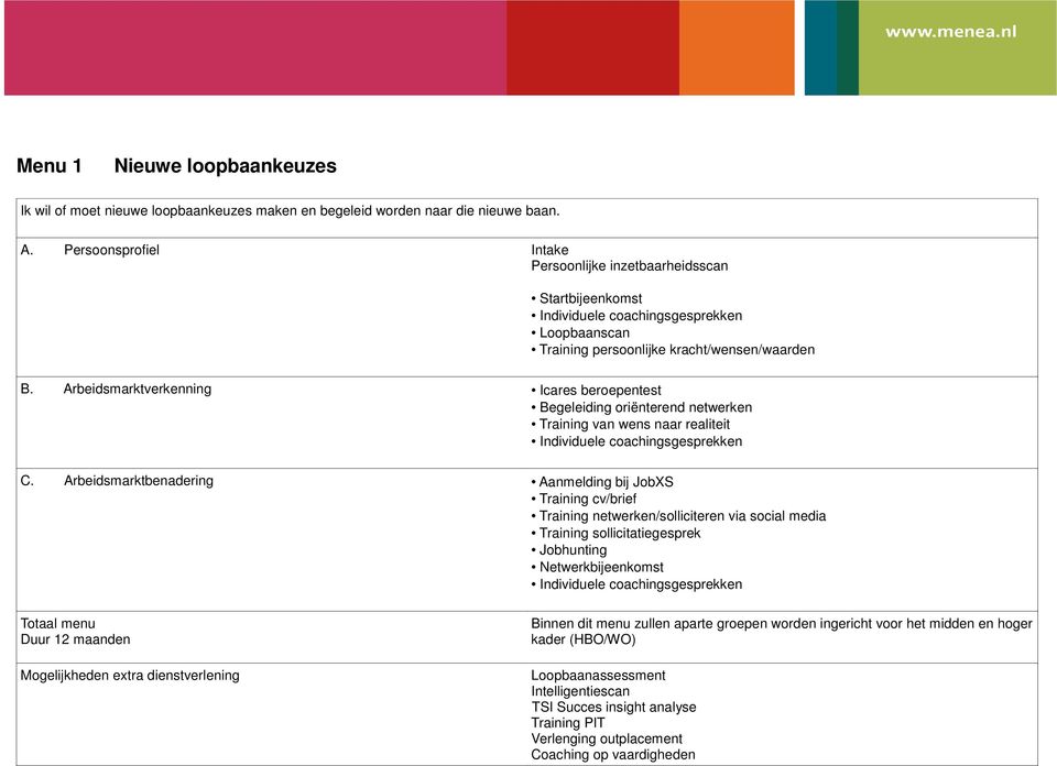 Arbeidsmarktverkenning Icares beroepentest Begeleiding oriënterend netwerken Training van wens naar realiteit C.