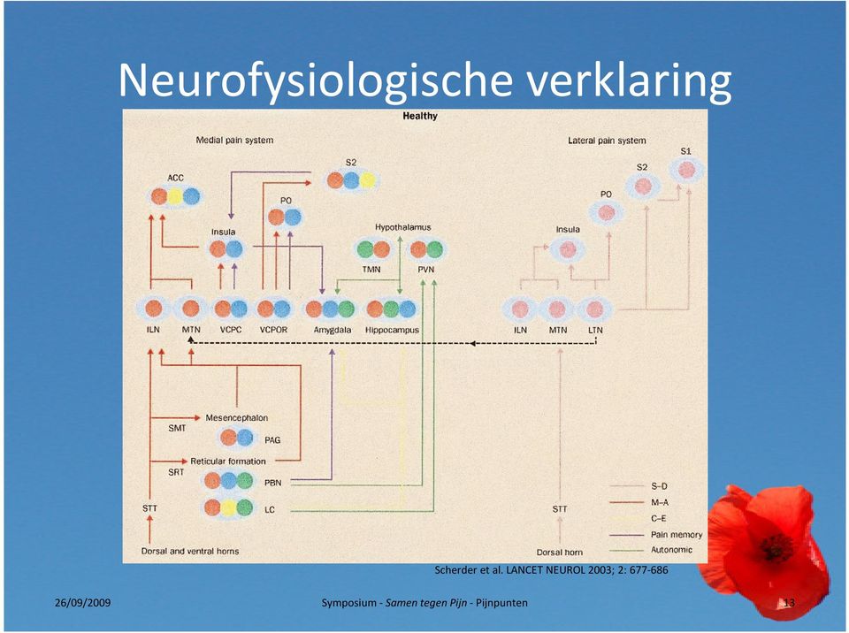 LANCET NEUROL 2003; 2: 677-686