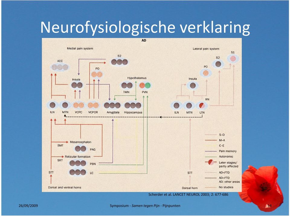 LANCET NEUROL 2003; 2: 677-686