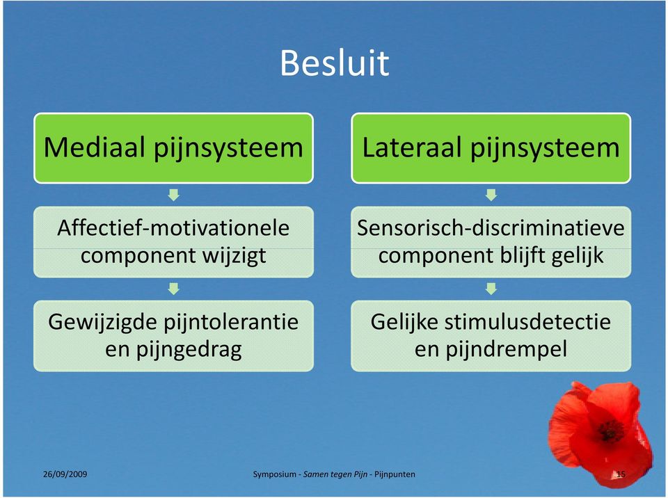 en pijngedrag Sensorisch-discriminatieve component blijft gelijk