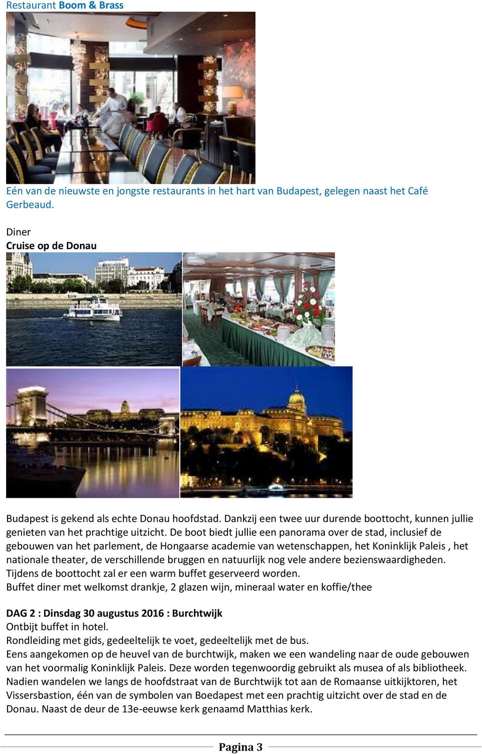 De boot biedt jullie een panorama over de stad, inclusief de gebouwen van het parlement, de Hongaarse academie van wetenschappen, het Koninklijk Paleis, het nationale theater, de verschillende