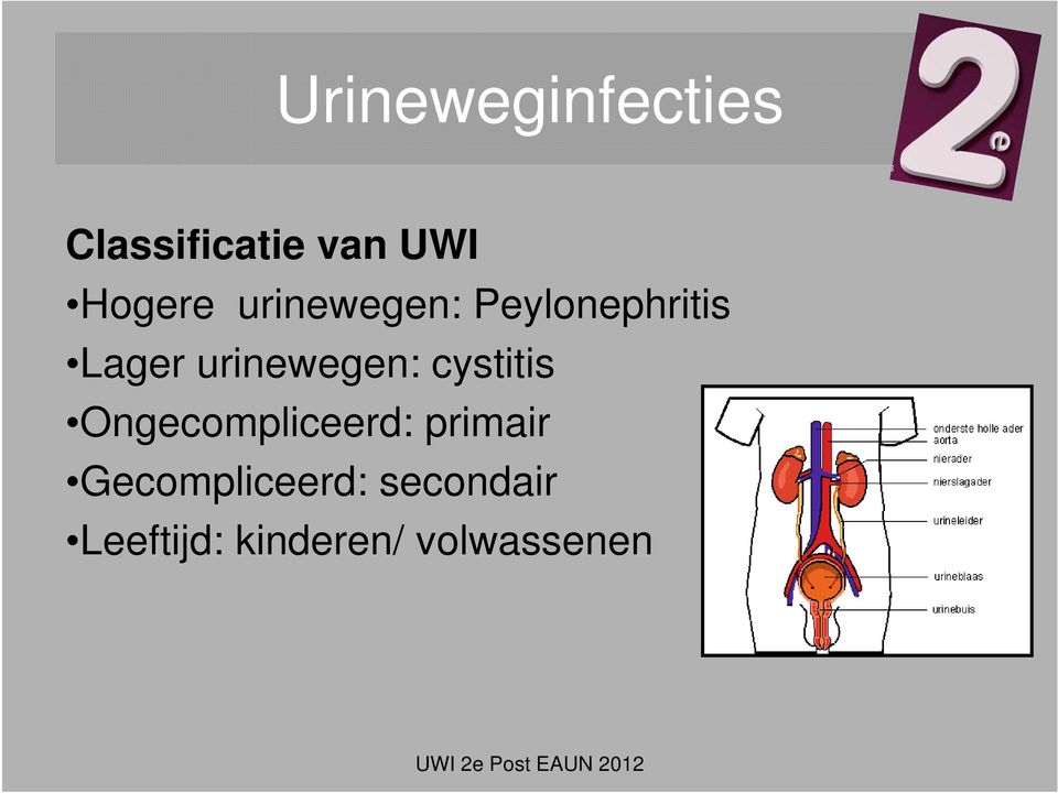 urinewegen: cystitis Ongecompliceerd: primair