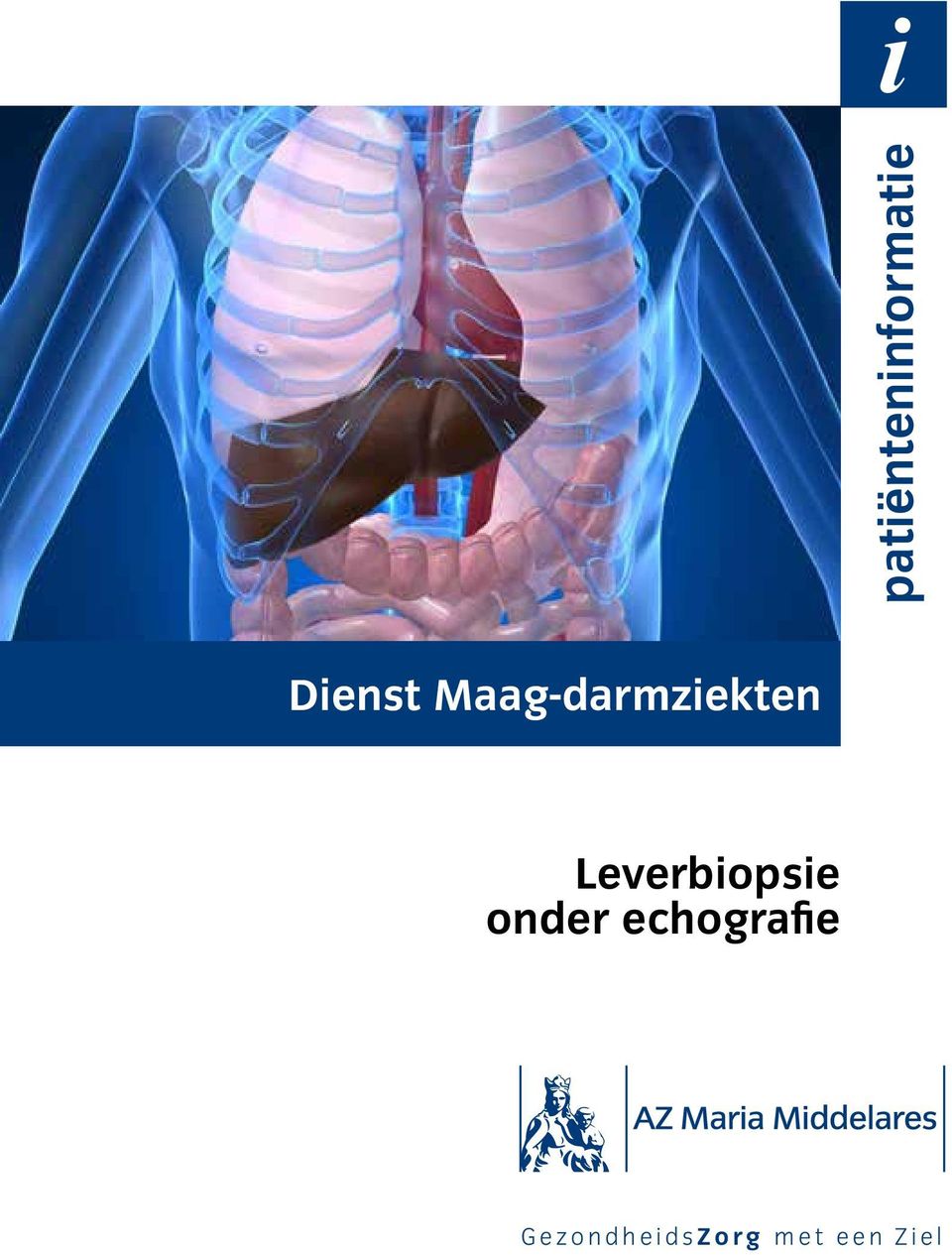 Leverbiopsie onder