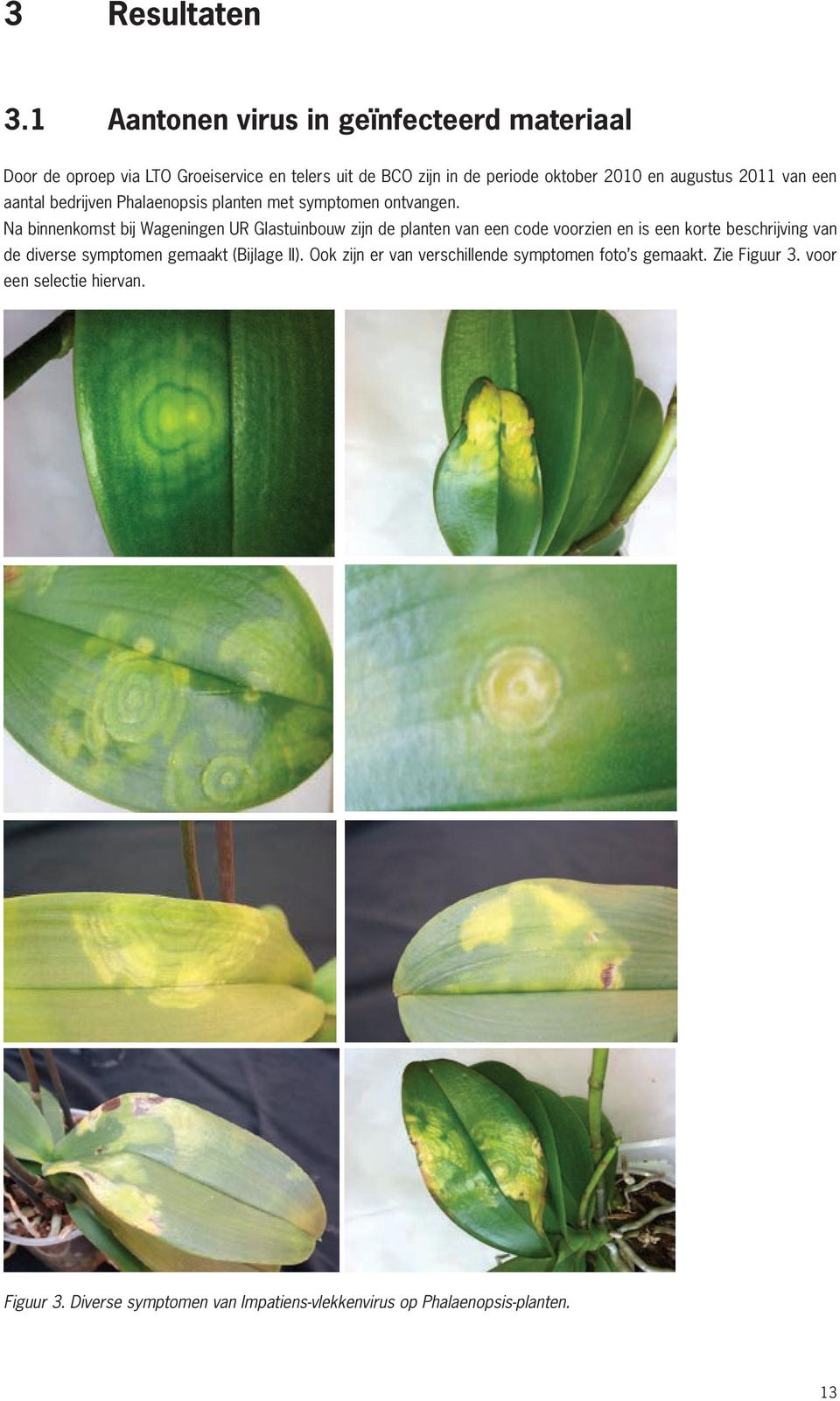 2011 van een aantal bedrijven Phalaenopsis planten met symptomen ontvangen.