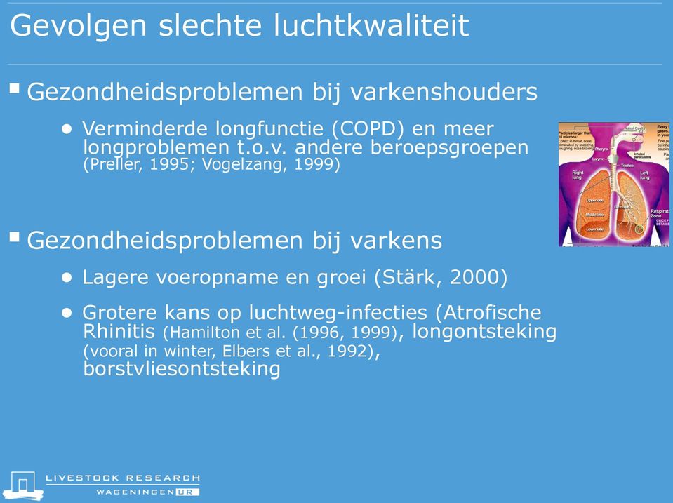 andere beroepsgroepen (Preller, 1995; Vogelzang, 1999) Gezondheidsproblemen bij varkens Lagere voeropname