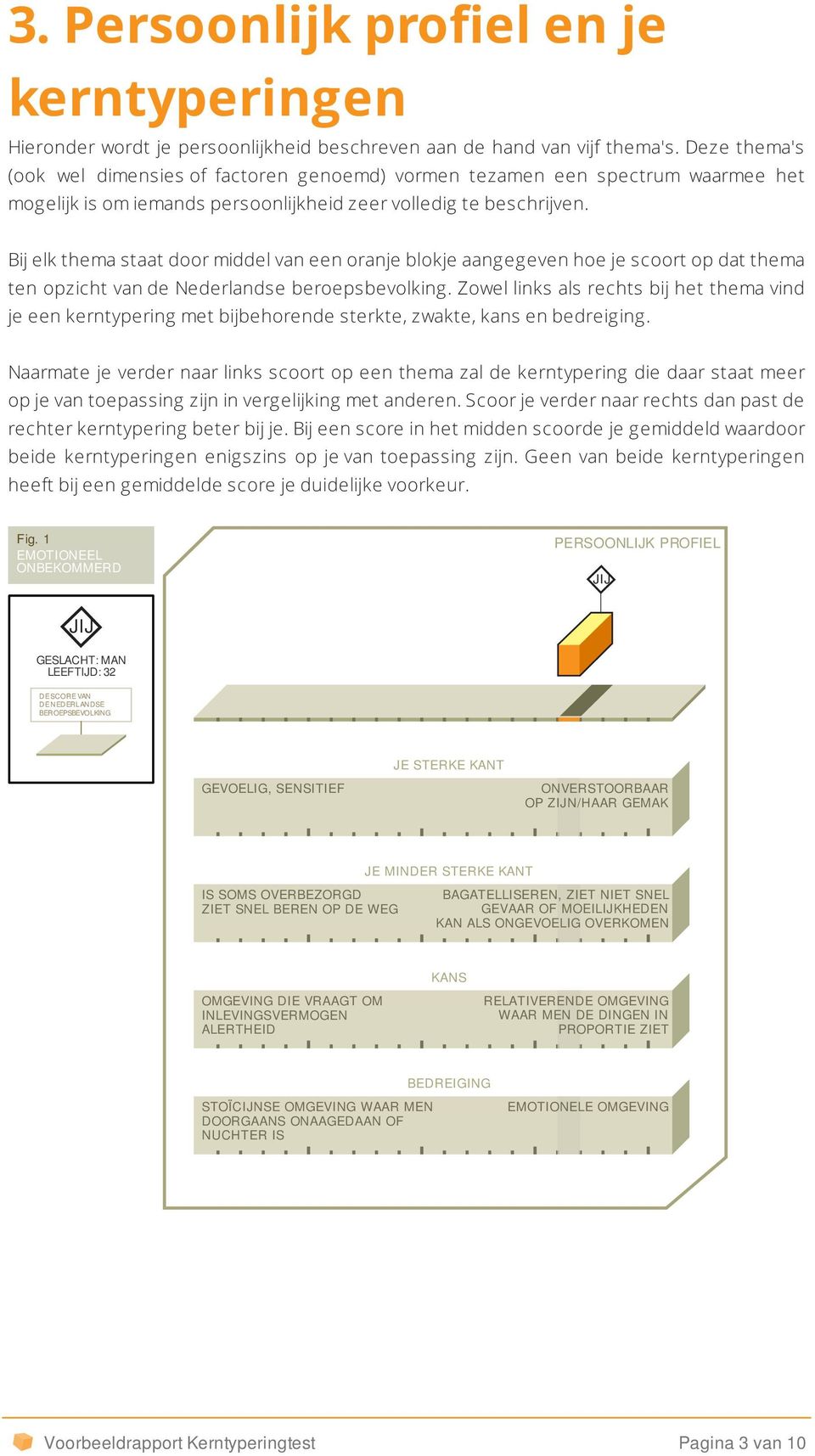 Bij elk thema staat door middel van een oranje blokje aangegeven hoe je scoort op dat thema ten opzicht van de Nederlandse beroepsbevolking.