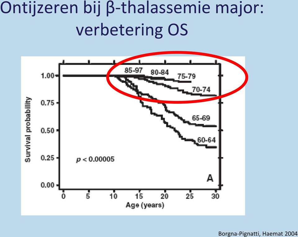 Ontijzeren bij