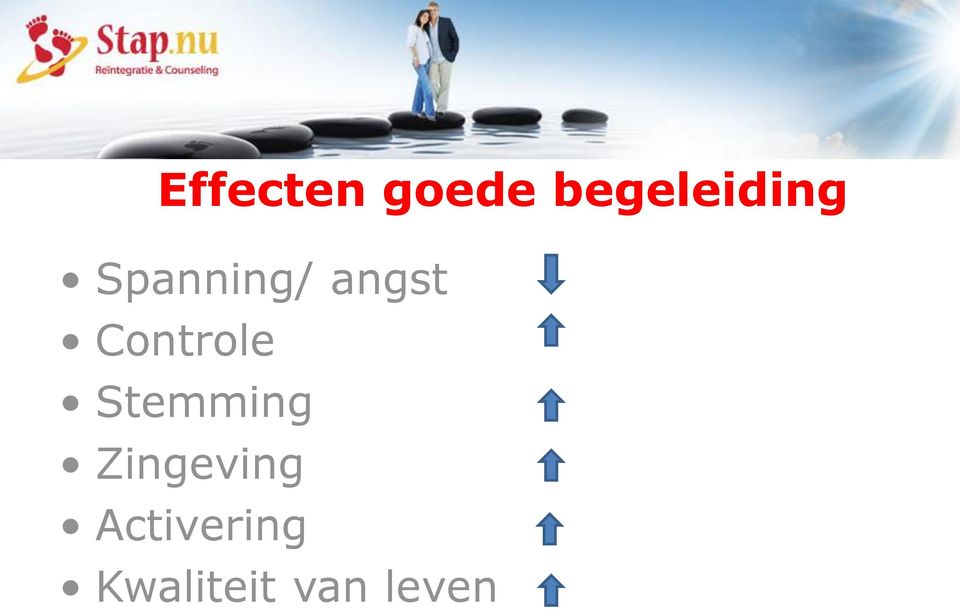 angst Controle Stemming