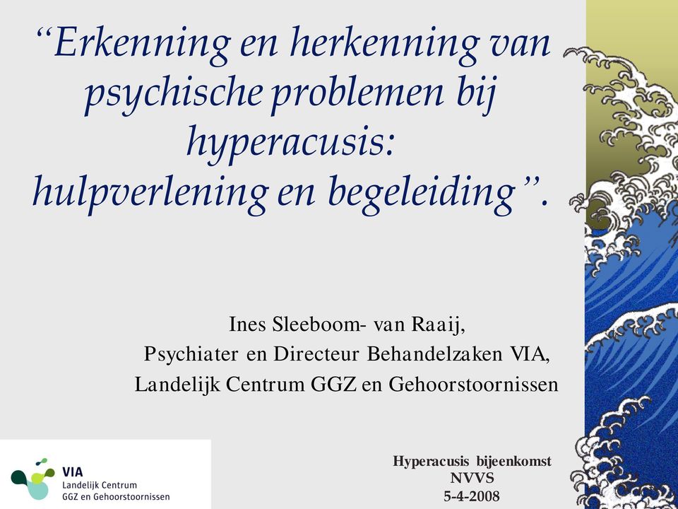 Ines Sleeboom- van Raaij, Psychiater en Directeur