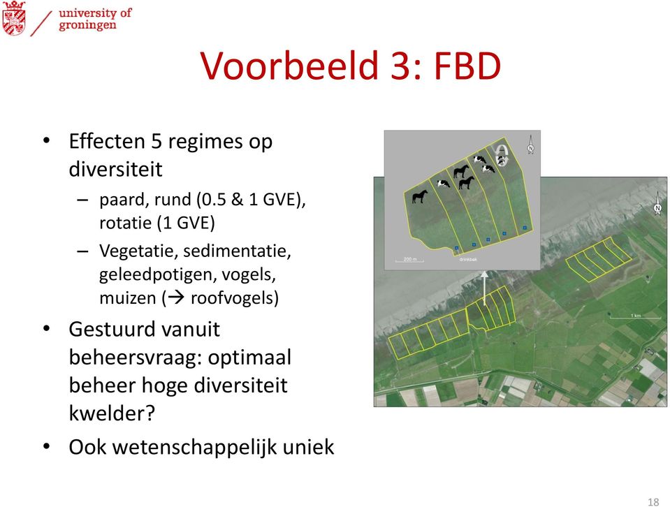 geleedpotigen, vogels, muizen ( roofvogels) Gestuurd vanuit