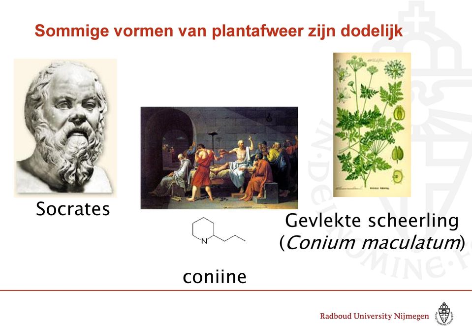 dodelijk Socrates