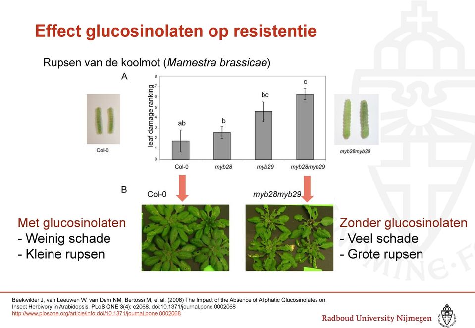 Bertossi M, et al. (2008) The Impact of the Absence of Aliphatic Glucosinolates on Insect Herbivory in Arabidopsis.