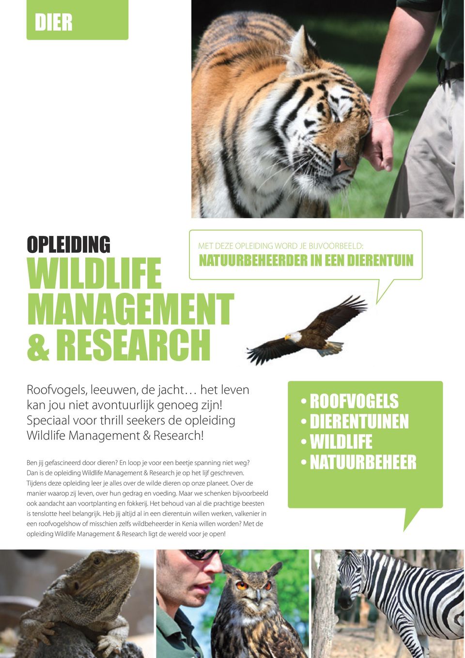 Dan is de opleiding Wildlife Management & Research je op het lijf geschreven. Tijdens deze opleiding leer je alles over de wilde dieren op onze planeet.