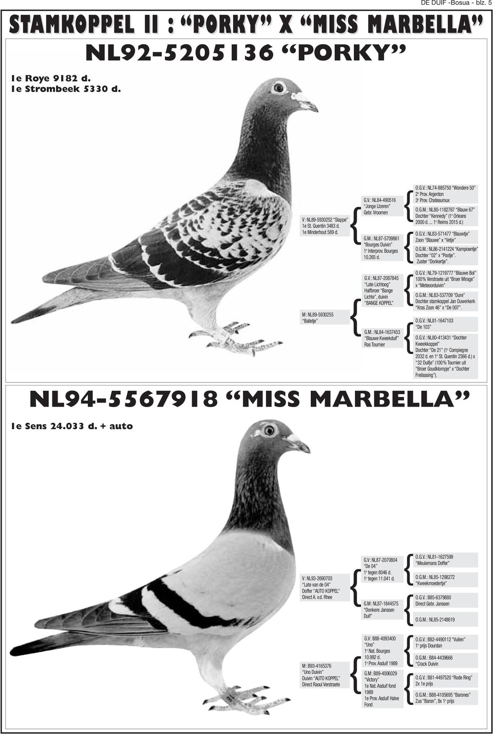 ... 1 e Reims 2015 d.) { O.G.V.: NL83-571477 Blauwtje Zoon Blauwe x Vetje O.G.M.: NL86-2141224 Kampioentje Dochter 02 x Pootje. Zuster Donkertje. NL94-5567918 MISS MARBELLA 1e Sens 24.033 d.