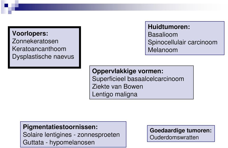 basaalcelcarcinoom Ziekte van Bowen Lentigo maligna Pigmentatiestoornissen: