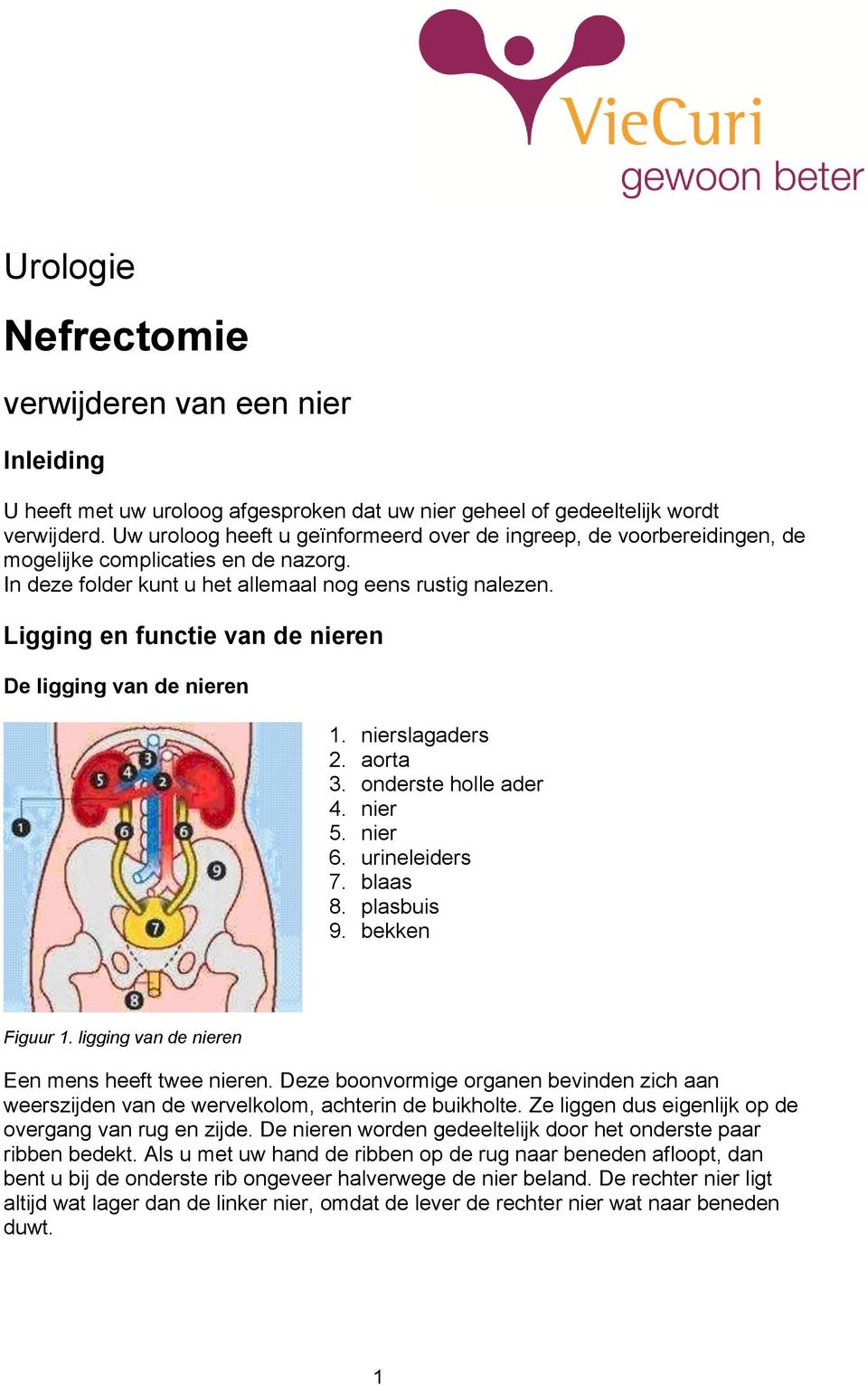 Ligging en functie van de nieren De ligging van de nieren 1. nierslagaders 2. aorta 3. onderste holle ader 4. nier 5. nier 6. urineleiders 7. blaas 8. plasbuis 9. bekken Figuur 1.