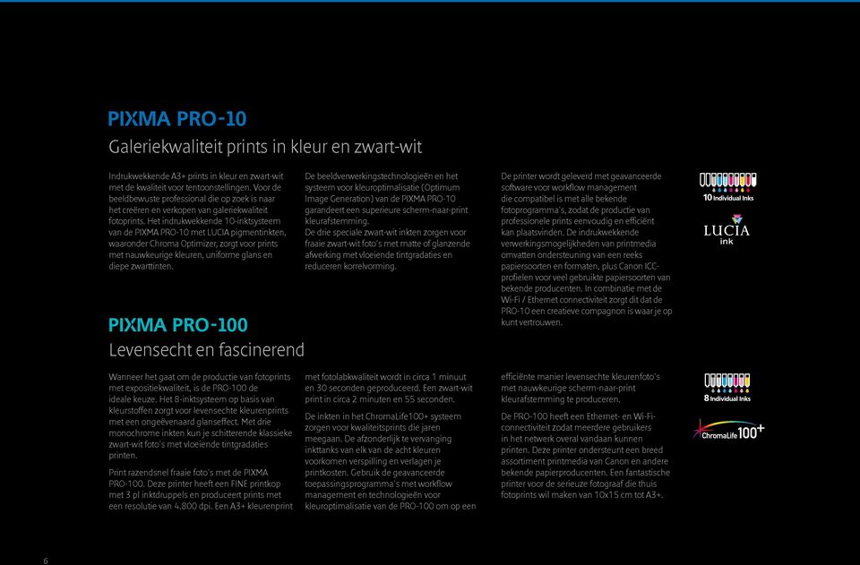 Het indrukwekkende 10-inktsysteem van de PIXMA PRO-10 met LUCIA pigmentinkten, waaronder Chroma Optimizer, zorgt voor prints met nauwkeurige kleuren, uniforme glans en diepe zwarttinten.