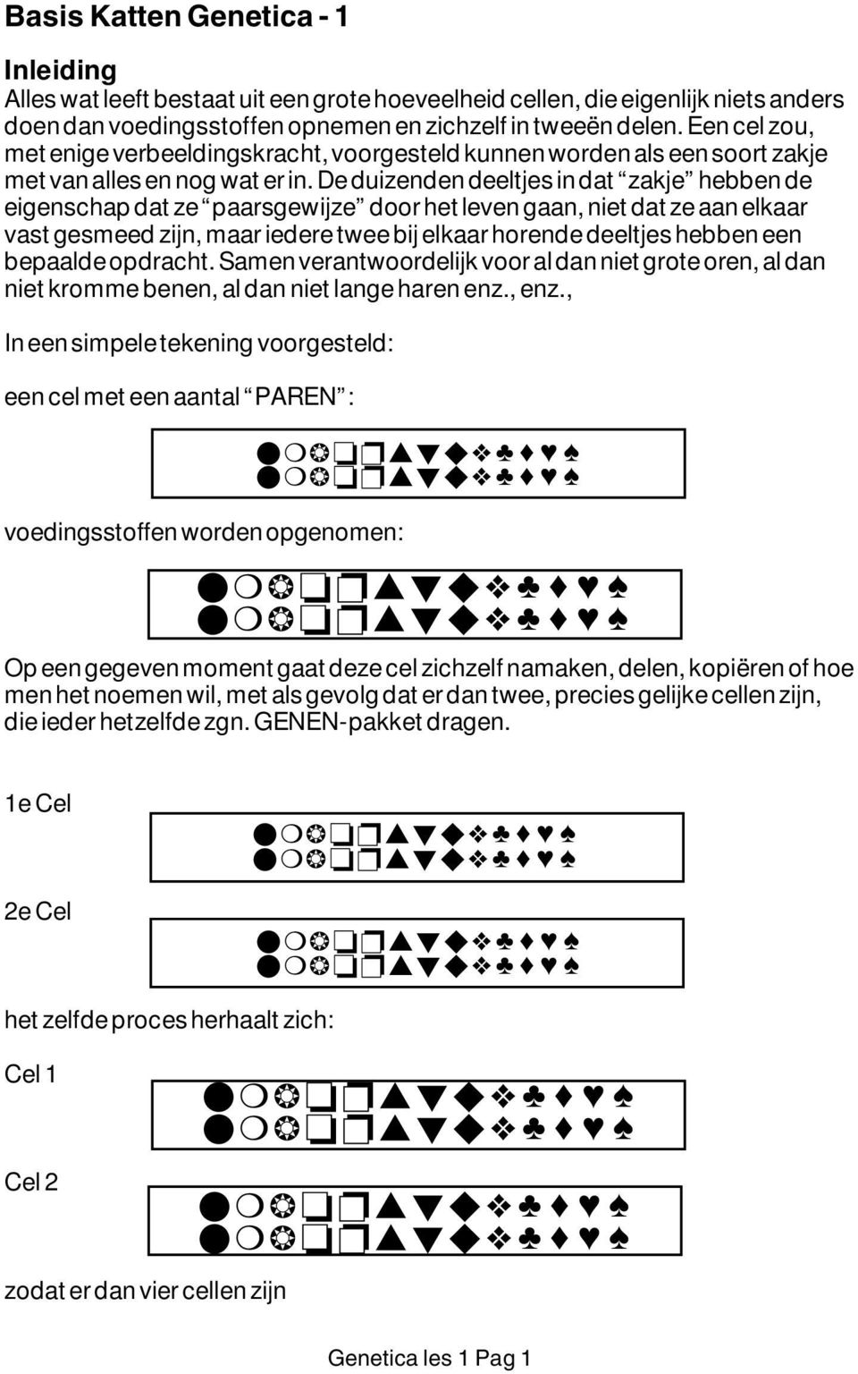 niet dat ze aan elkaar vast gesmeed zijn, maar iedere twee bij elkaar horende deeltjes hebben een bepaalde opdracht Samen verantwoordelijk voor al dan niet grote oren, al dan niet kromme benen, al