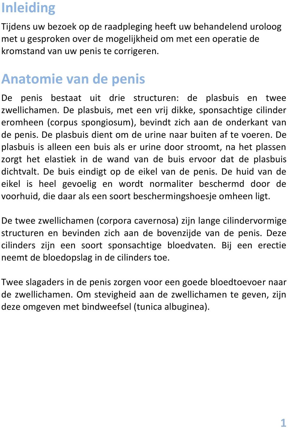 De plasbuis, met een vrij dikke, sponsachtige cilinder eromheen (corpus spongiosum), bevindt zich aan de onderkant van de penis. De plasbuis dient om de urine naar buiten af te voeren.