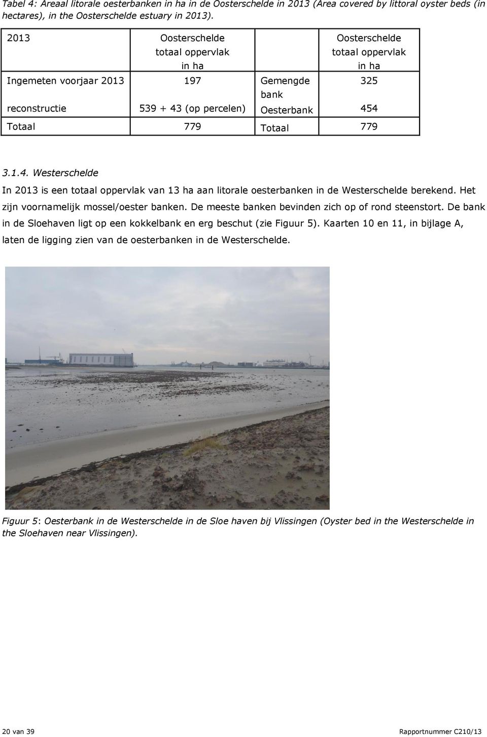 3.1.4. Westerschelde In 2013 is een totaal oppervlak van 13 ha aan litorale oesterbanken in de Westerschelde berekend. Het zijn voornamelijk mossel/oester banken.