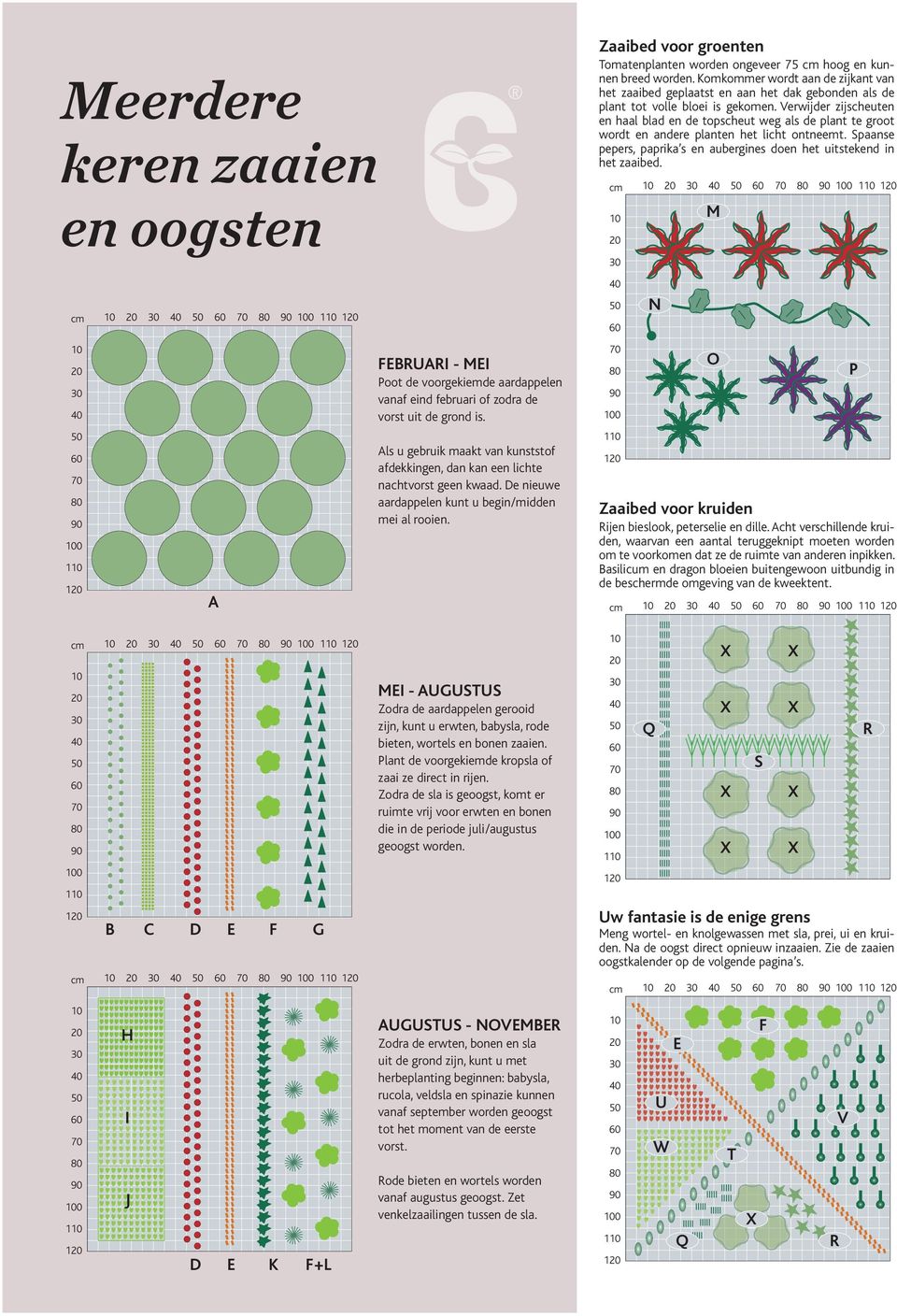 Verwijder zijscheuten en haal blad en de topscheut weg als de plant te groot wordt en andere planten het licht ontneemt. Spaanse pepers, paprika s en aubergines doen het uitstekend in het zaaibed.